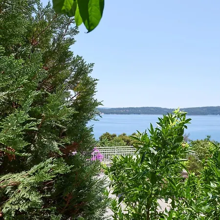 Apartament Viktoria *