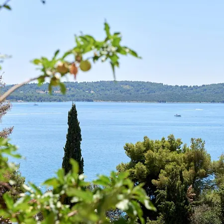 Viktoria * Trogir